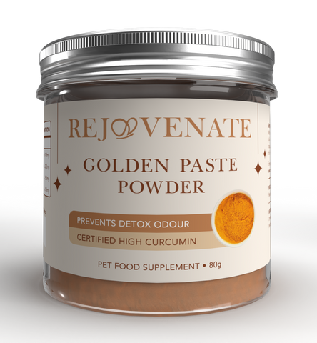 NEW Golden Paste POWDER for Pets - (4.7% Curcumin)