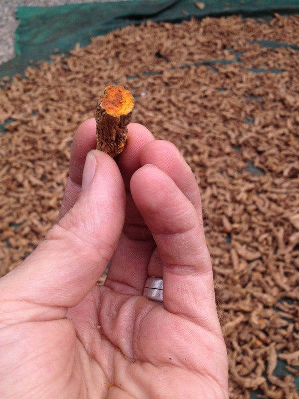 Dried Turmeric