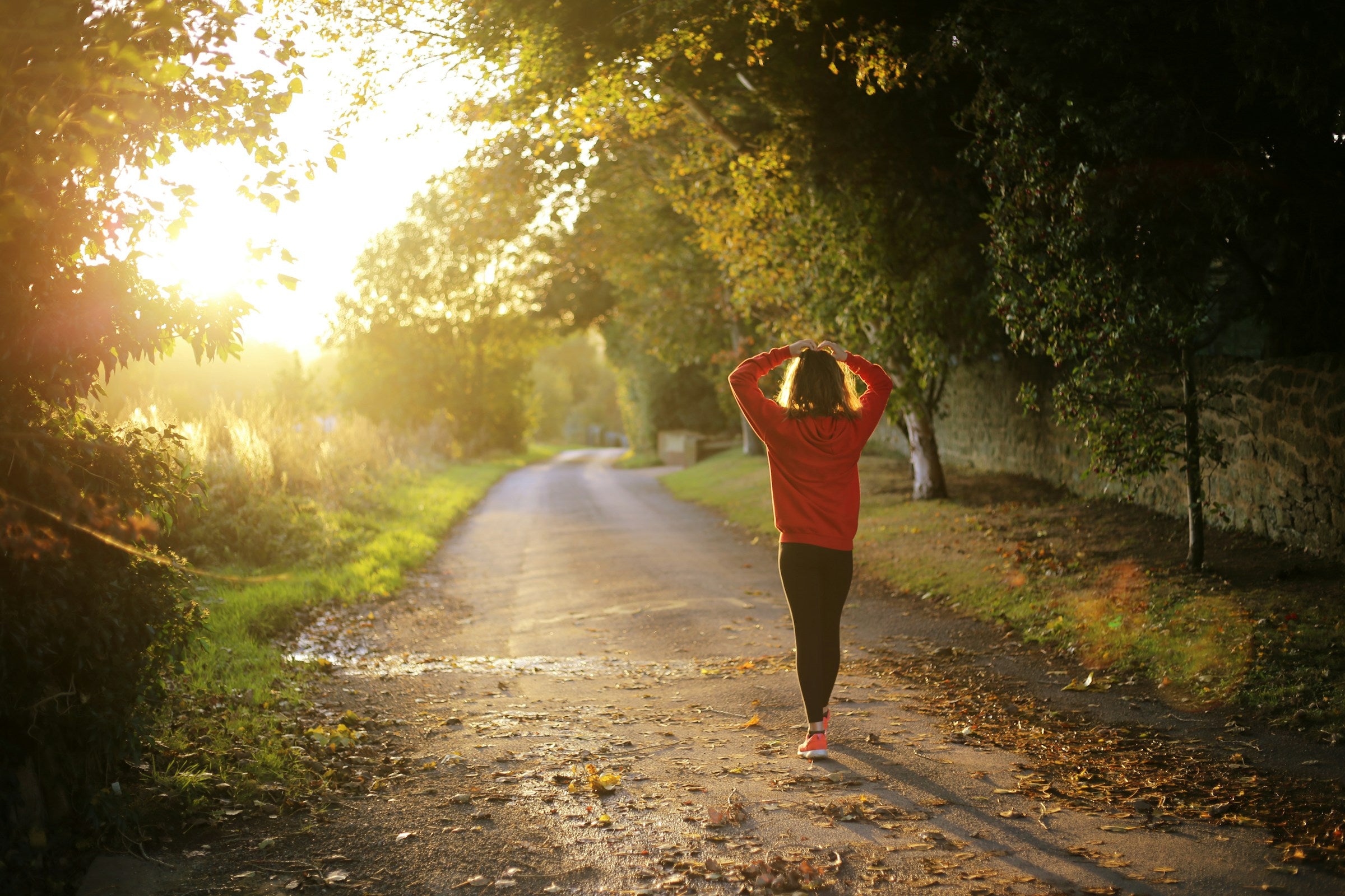 Person walking down a sunlit, tree-lined path in the morning