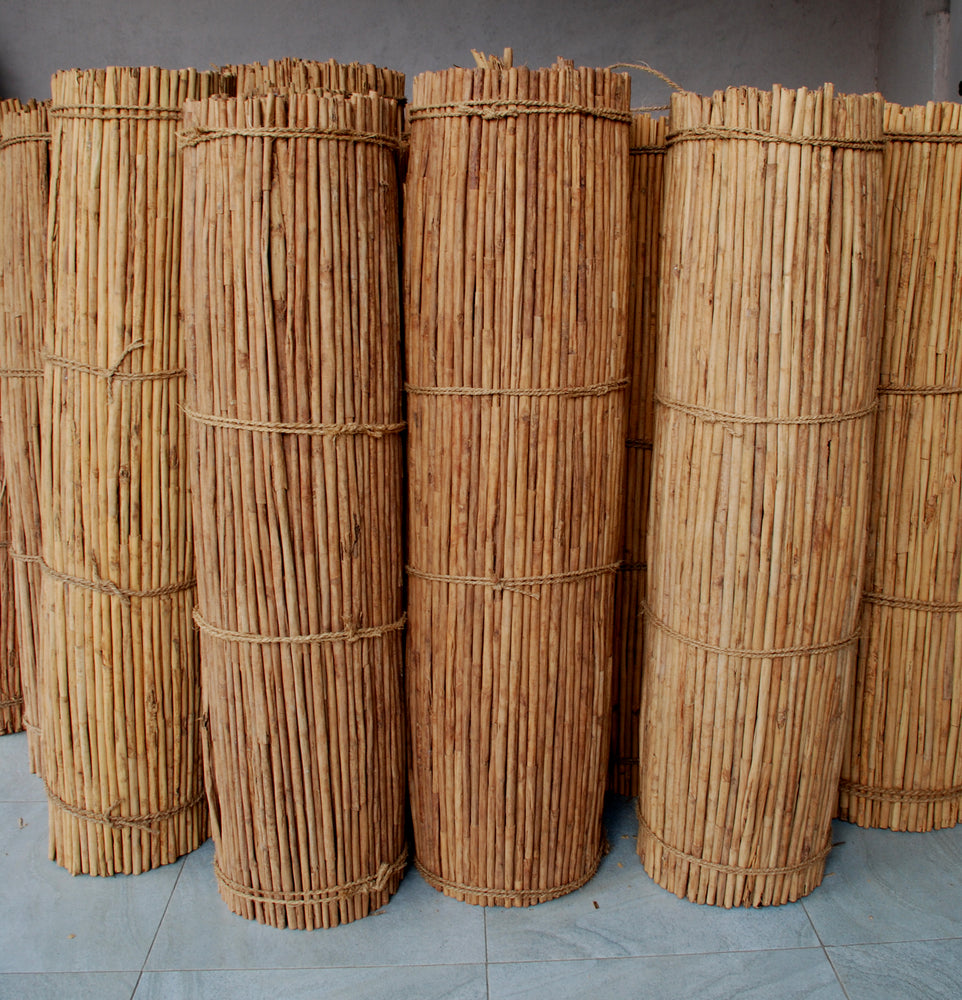 
                  
                    Ceylon Cinnamon or "True Cinnamon"
                  
                