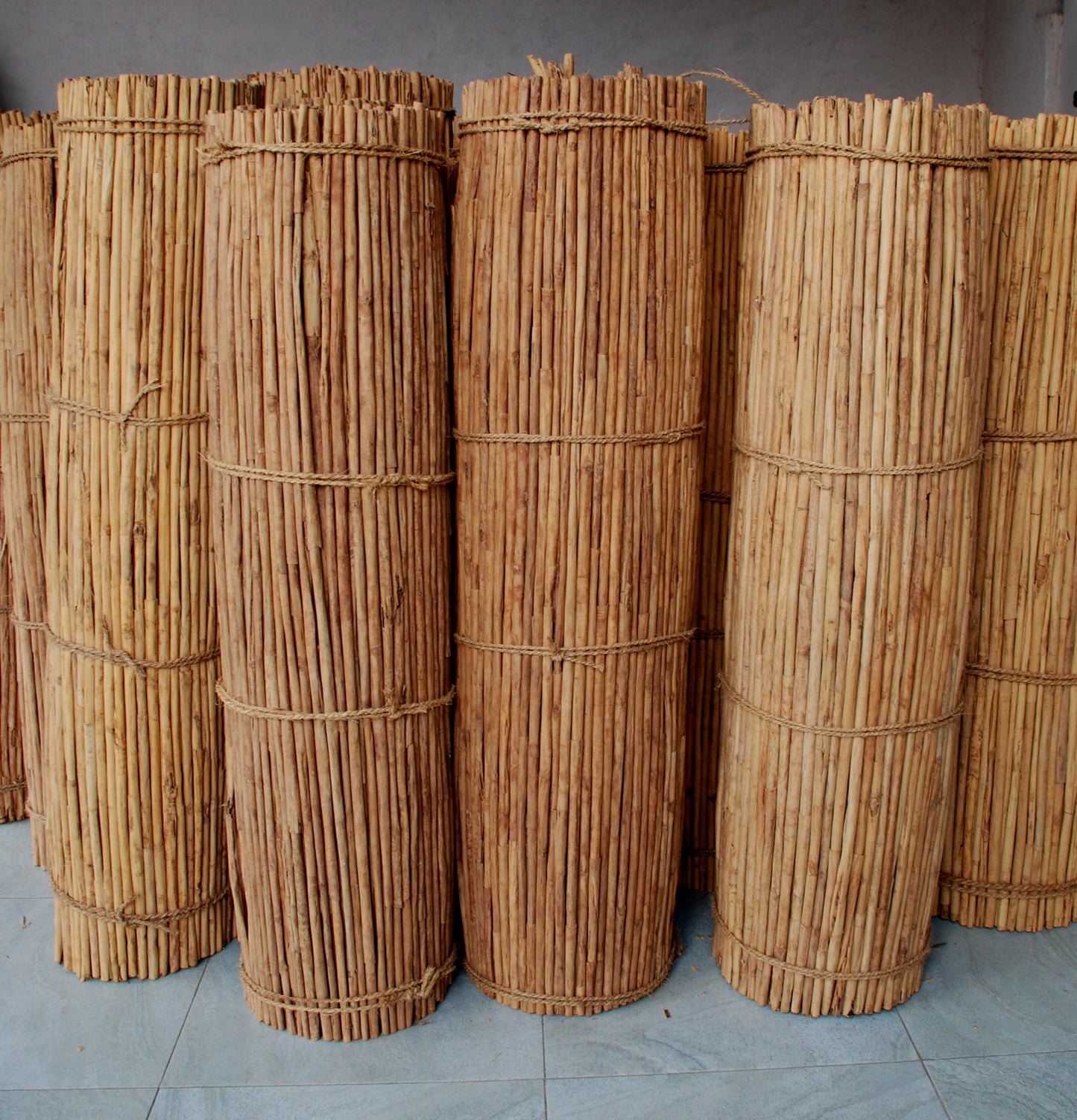 
                  
                    Ceylon Cinnamon or "True Cinnamon"
                  
                