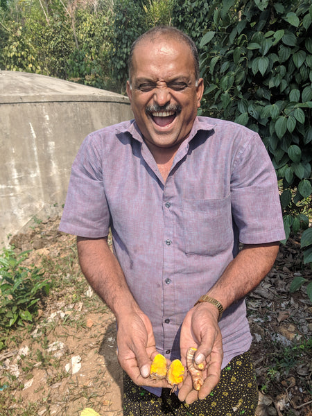 Turmeric - 4.20% Curcumin