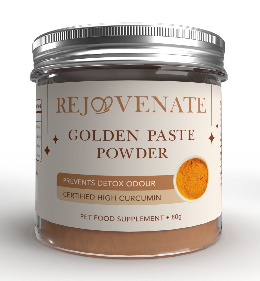 Golden Paste POWDER for Pets - (4.0% Curcumin)